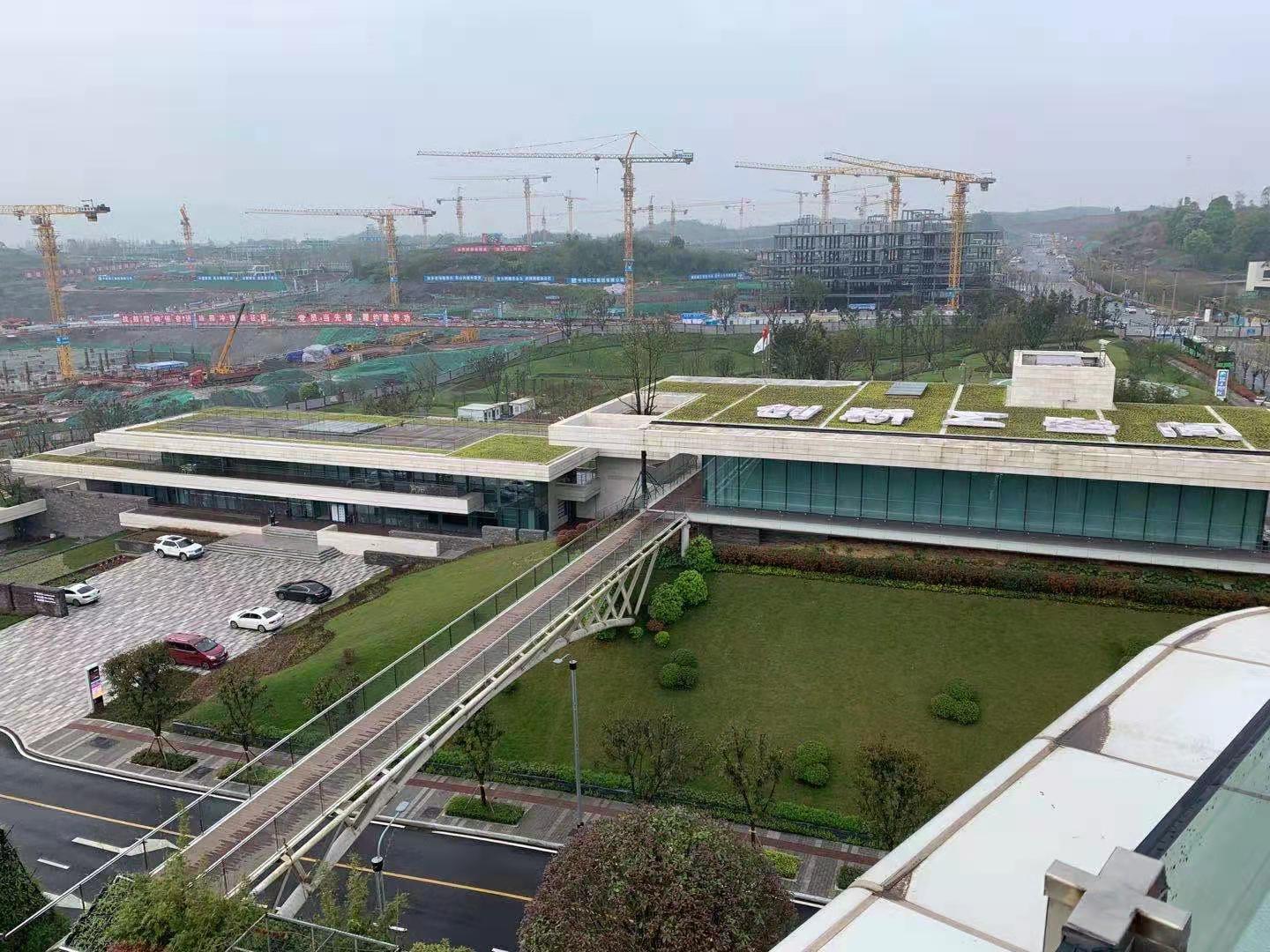 91香蕉视频在线播放物聯杜總攜公司團隊參觀重慶兩江新區